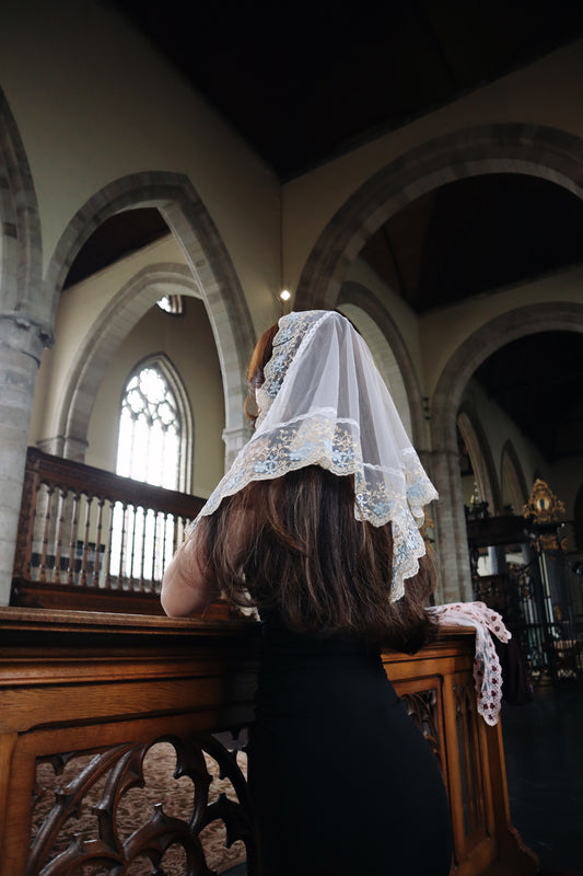 The Mary veil
